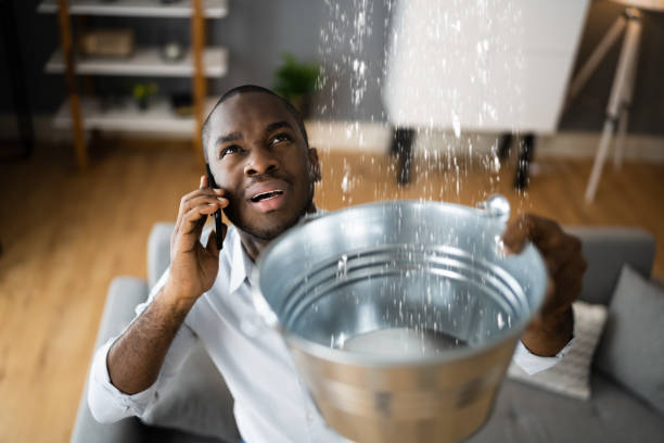 Best Water damage restoration near me  in Candlewick Lake, IL