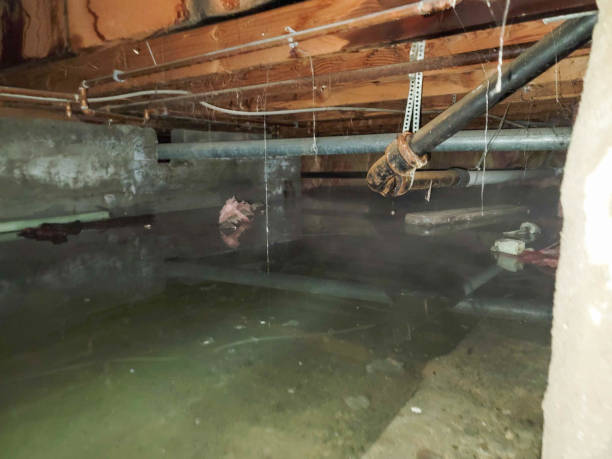 Best Ceiling water damage repair  in Candlewick Lake, IL