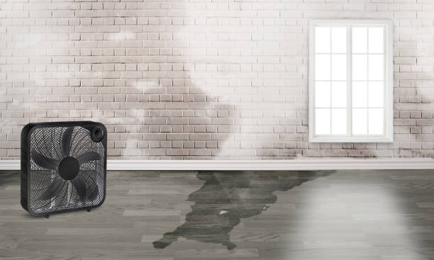 Water damage restoration insurance claims in Candlewick Lake, IL