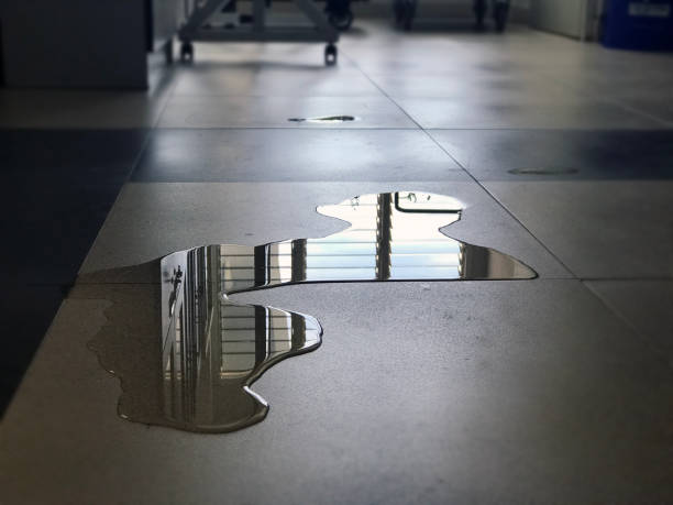 Best Water damage contractors near me  in Candlewick Lake, IL