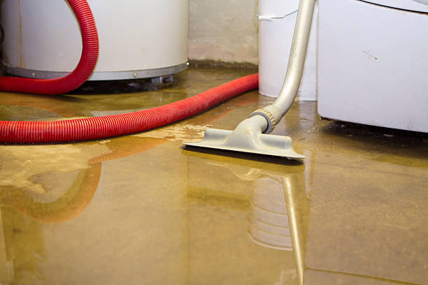 Best Basement water damage restoration  in Candlewick Lake, IL