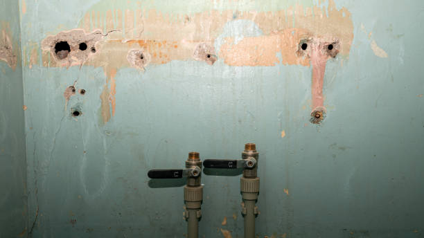 Best 24-hour water damage restoration  in Candlewick Lake, IL