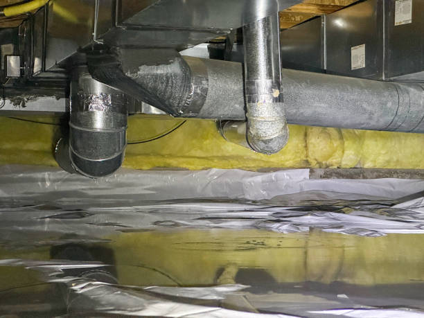Best Mold removal after water damage  in Candlewick Lake, IL