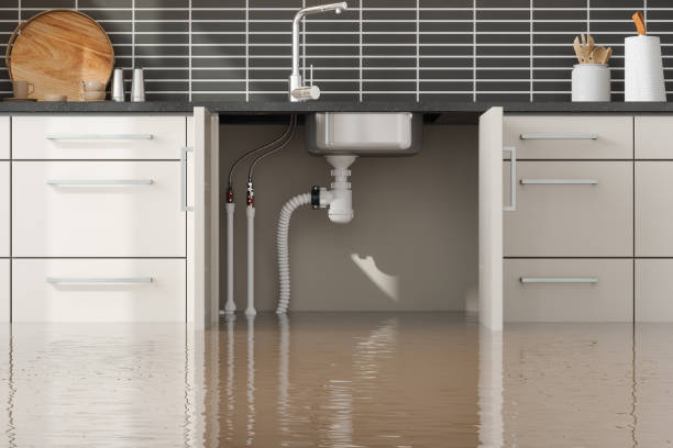 Best Local water damage restoration  in Candlewick Lake, IL