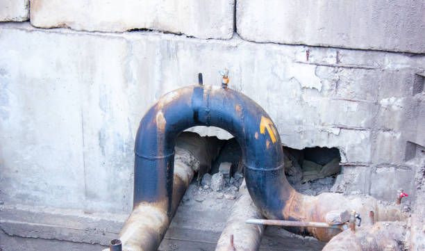 Best Ceiling water damage repair  in Candlewick Lake, IL